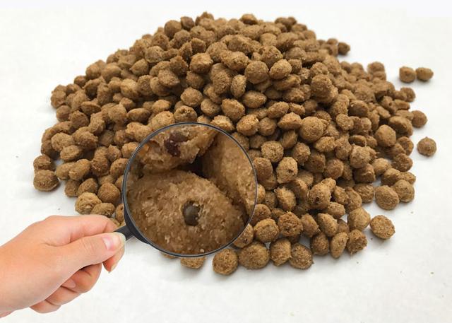 怎样挑选适合泰迪的狗粮,怎么挑选正宗泰迪幼犬狗粮