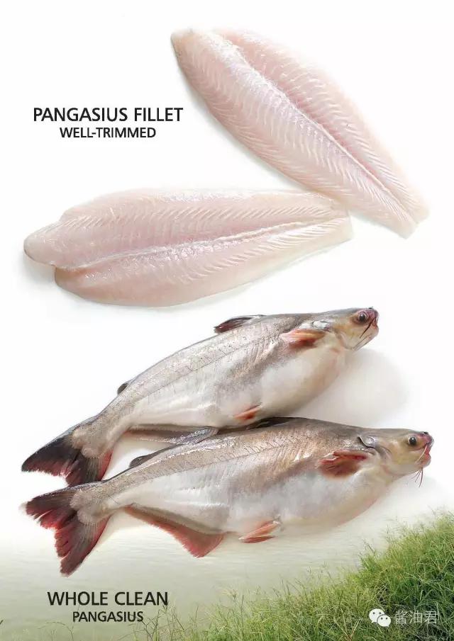 欧洲超市的鱼是活的吗,欧洲超市常见海鲜