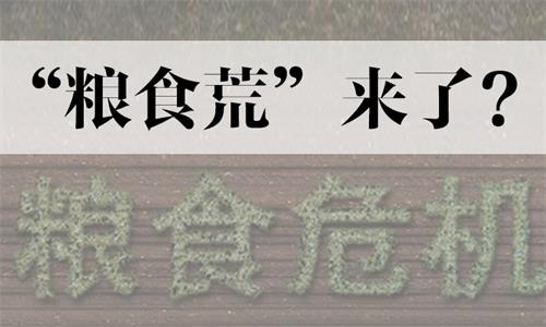 开粮油店要了解什么信息,粮油店生意怎么样