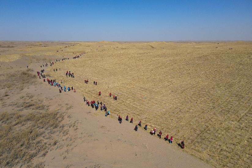 与沙漠掰了70年手腕，这块绿洲如此“倔强”