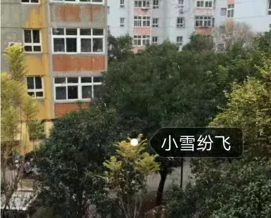 邯郸雪下哪里了,雪如约而至周末天气怎么样