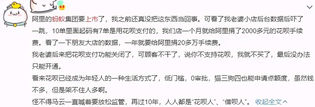 蚂蚁上市之路,蚂蚁上市问题解读