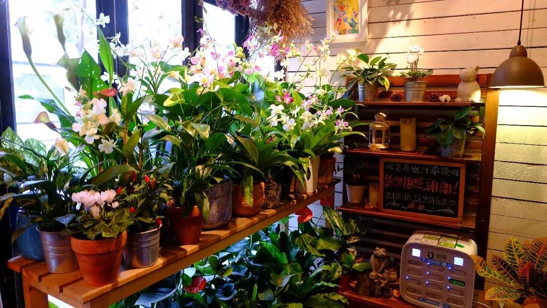 北京南锣鼓巷东一公里打卡地,北京南锣鼓巷旅游攻略必玩的景点