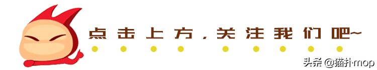 沙雕图|闺蜜是网恋终结者吧？