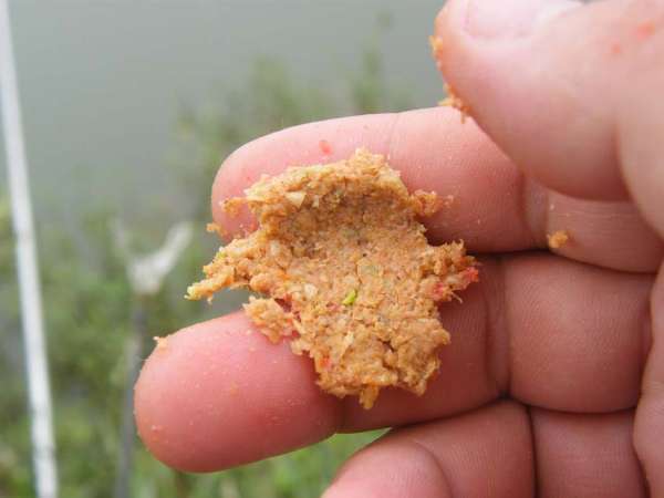 传统钓小杂鱼闹窝怎么办,应对小杂鱼闹钩方法技巧