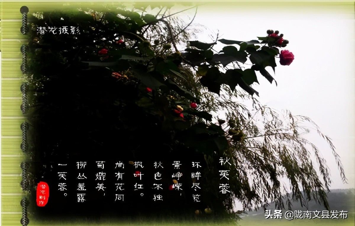 文县碧口古镇的传说故事,文县碧口古镇诡异传说