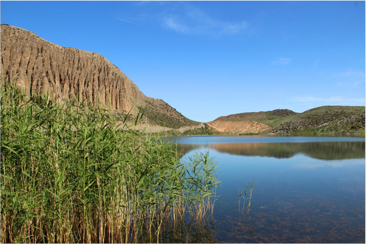 新疆精河县枸杞国家地理标志产品,新疆古丝绸之路精河