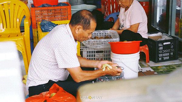 沙井的蚝,沙井为什么这么多蚝