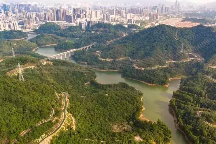 羊台山风景视频大全,深圳羊台山哪里风景最好