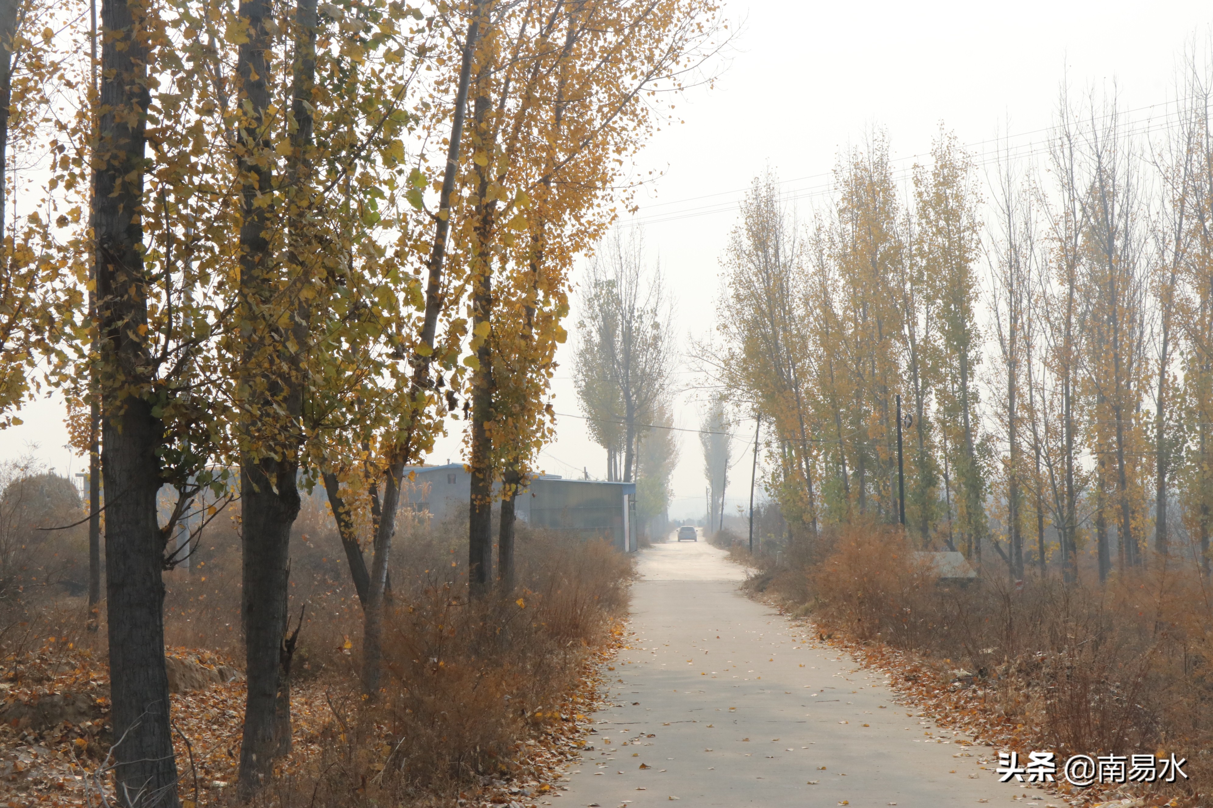 家乡风景带你一起感受自然的味道,令你难以忘怀的家乡的味道