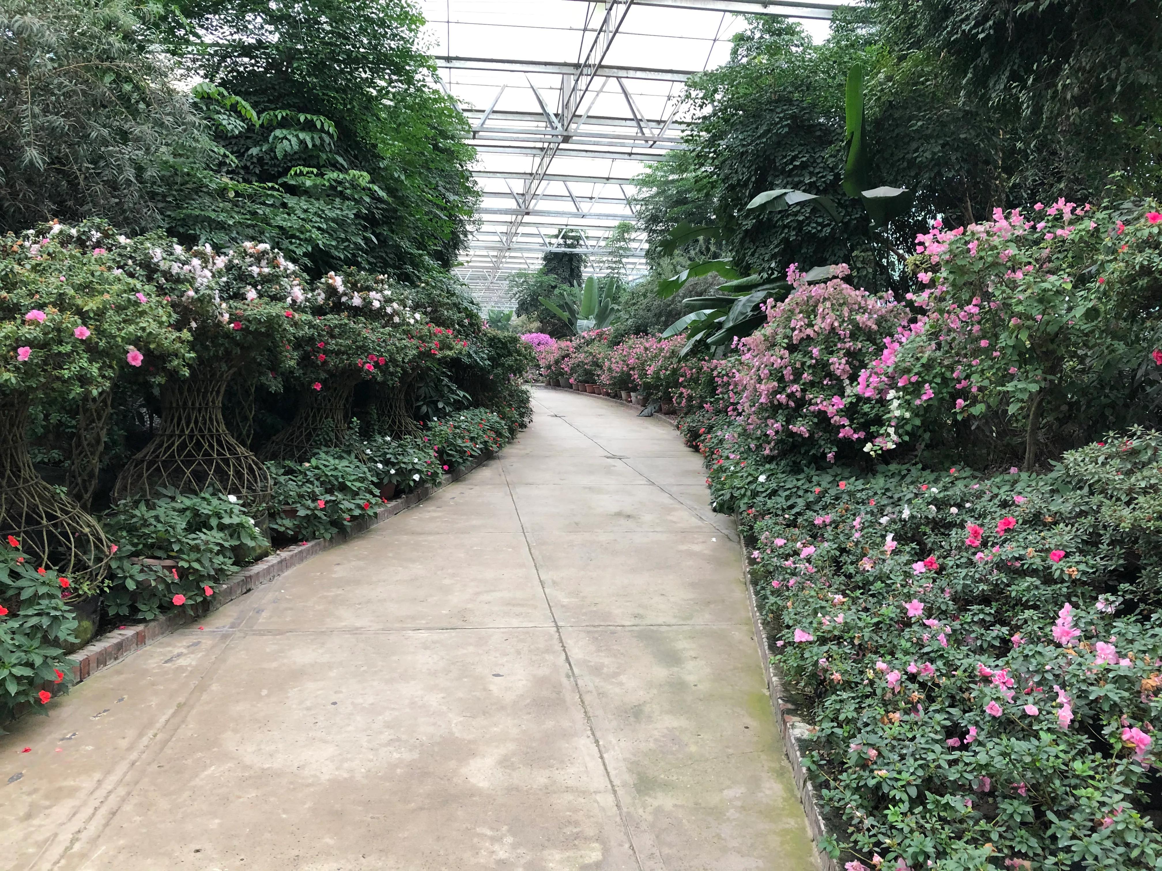 乳腺癌胸壁复发还有必要治吗,乳腺癌复发化疗能活多久