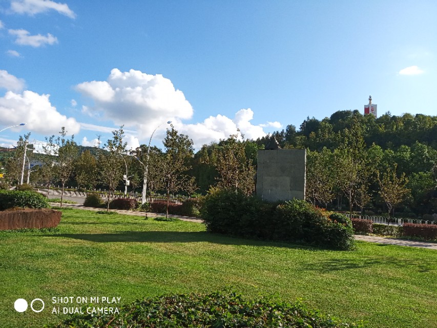 冯成毅期货交易技巧,冯成毅的期货交易