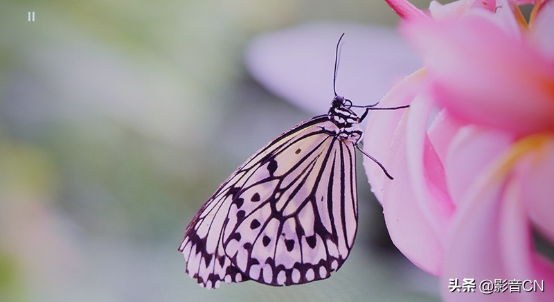 爱普生ch-tw5400是智能投影吗,爱普生tw5800120寸投影要求