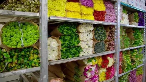 世界最大鲜花市场的销售全过程,全球最大的鲜花交易市场排名第一