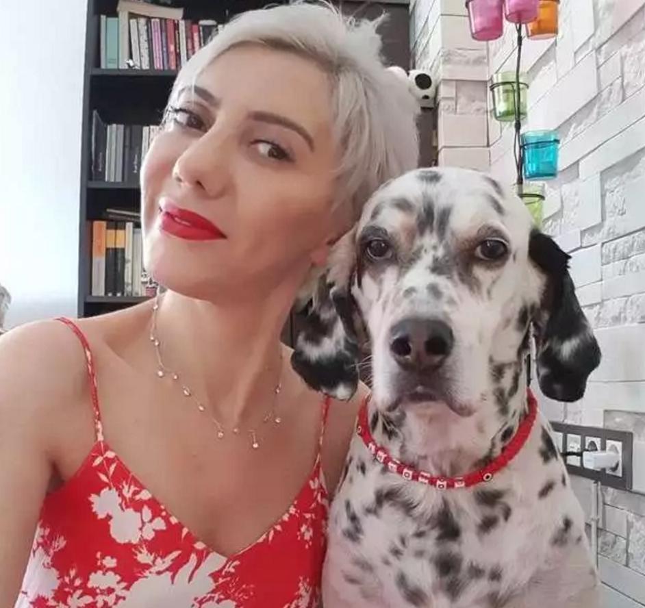 狗狗必须要赔医药费吗,狗狗生病了无法承担医药费怎么办