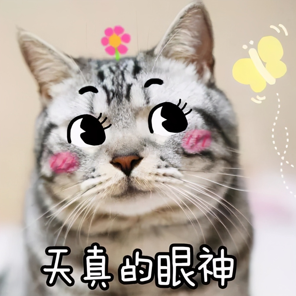 三本学生考研选择哪个学校好考,三本的学生考研适合什么学校