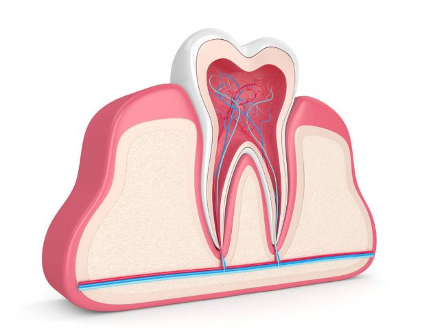 牙齿由黄变白了是怎么回事,牙齿黄怎么变白不用小苏打