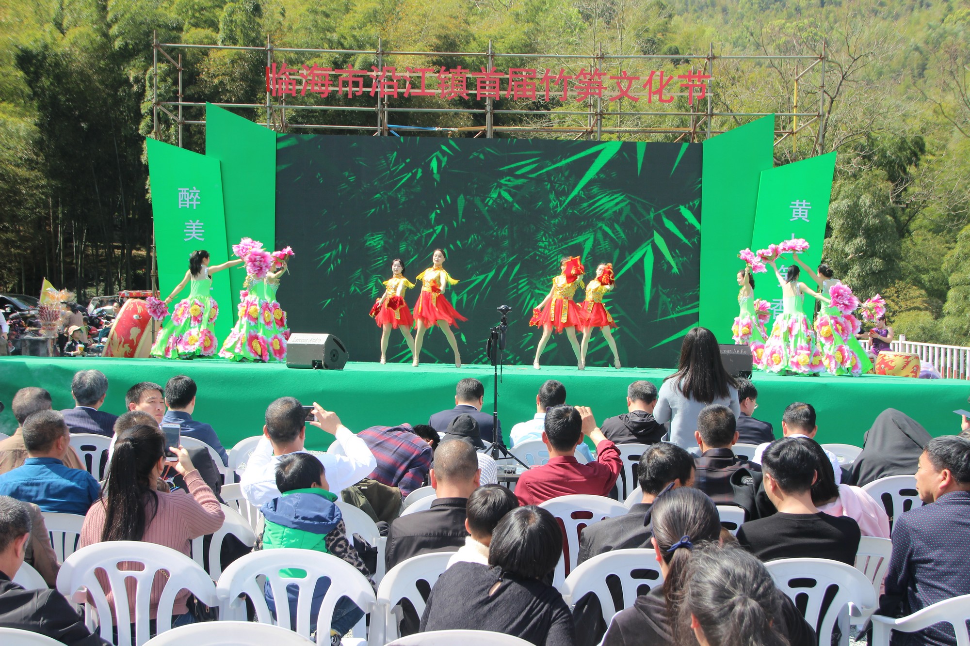 浙江临海沿江镇竹笋,临海市野生竹笋