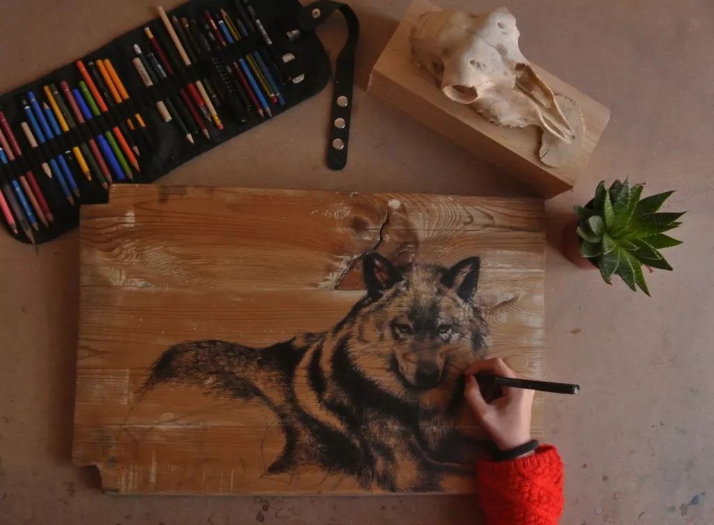 3d超写实彩铅画,超写实彩铅手绘细腻的让人咋舌