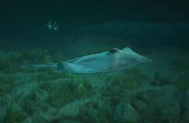 gta迷幻仙人掌可以连续吃吗,gta迷幻仙人掌能变成啥