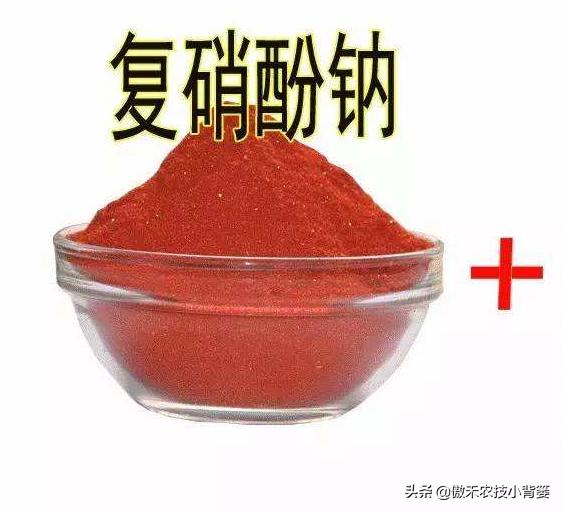 农作物苗期用哪个调节剂比较好,作物生长调节剂大全