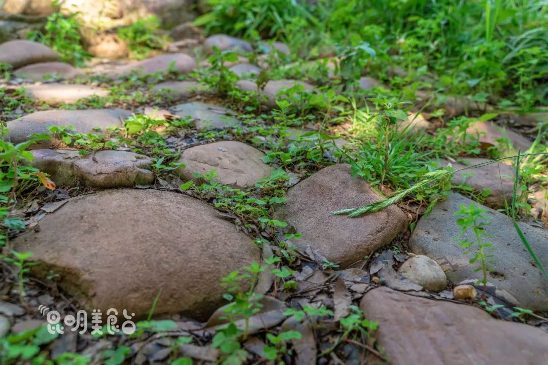 昆明高原明珠牛头宴,昆明附近哪里有世外桃源