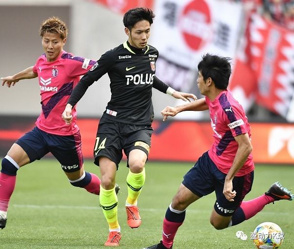 帕托引援最新消息,2023j联赛资讯