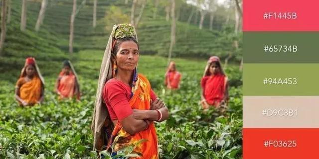 999张图片视频的卡点模板,服装设计素材收集与整理