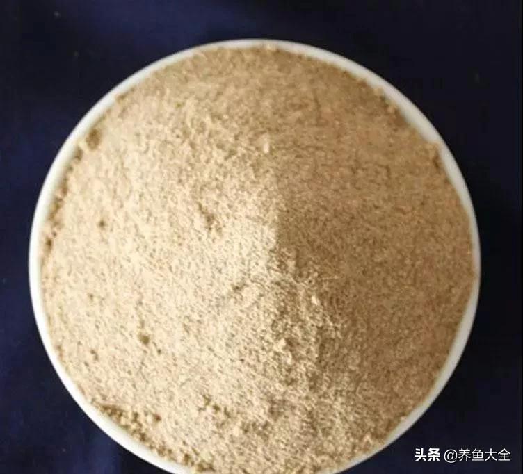 养鱼的硝化系统,养鱼必备硝化菌