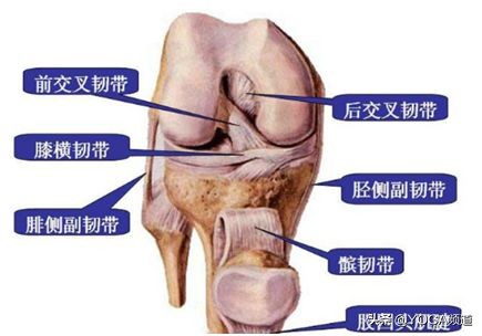 如何正确拉伸韧带，新手应该避免的问题