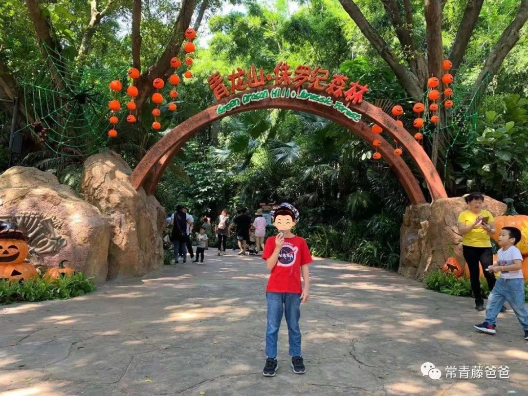 广州长隆攻略两天一夜住哪个酒店,去珠海长隆前一天下午游玩攻略