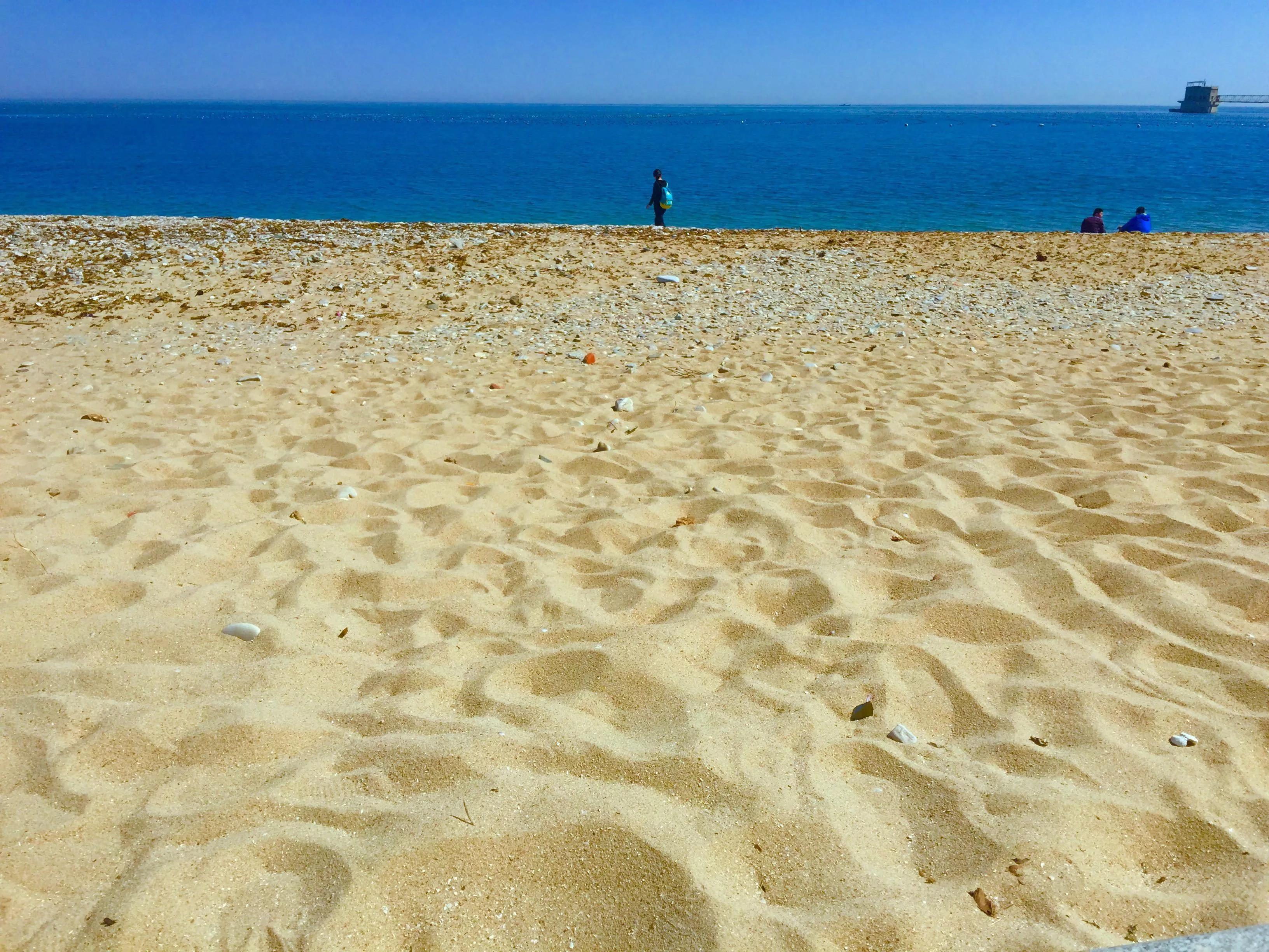 辽宁省高校（三十一）大连医科大学