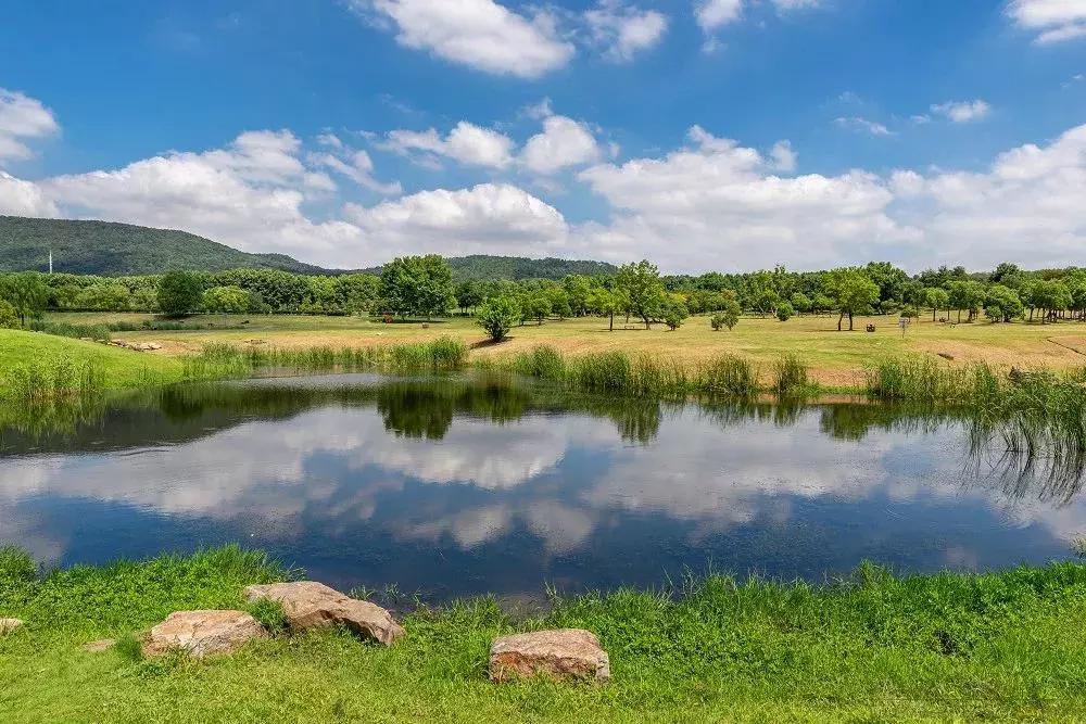 南京哪几个公园免费又好玩,南京莫愁湖公园免费