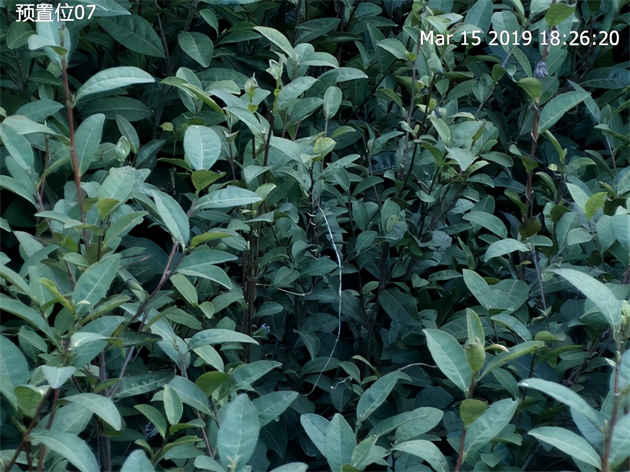 彩色图调亮度,调节图片的色彩