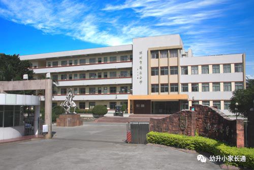 深圳最好的十大民办小学,深圳最好的小学排名一览表