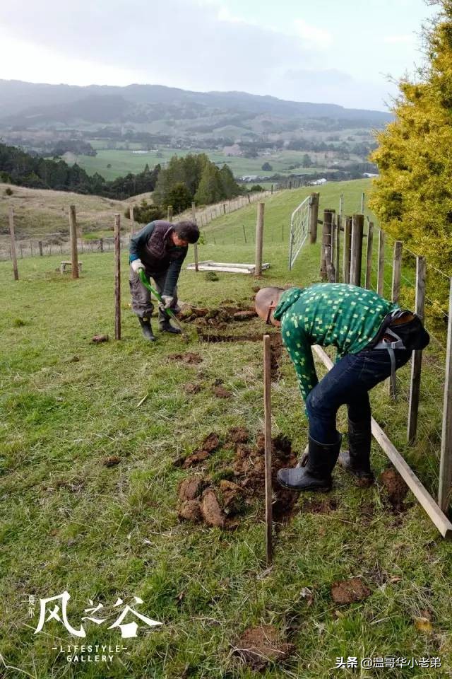 十几年的夫妻感悟,十年的老华人含泪感悟