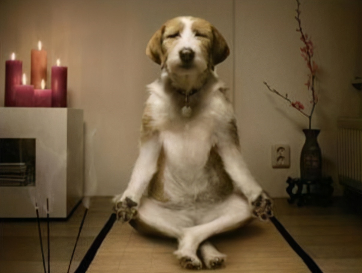 为什么有女朋友了还会出去玩,为啥有女朋友还打游戏