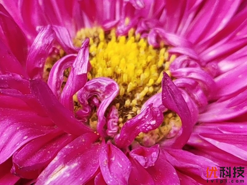 5g时代来临iqoopro5g优势很明显,iqoopro一代5g和4g有什么区别