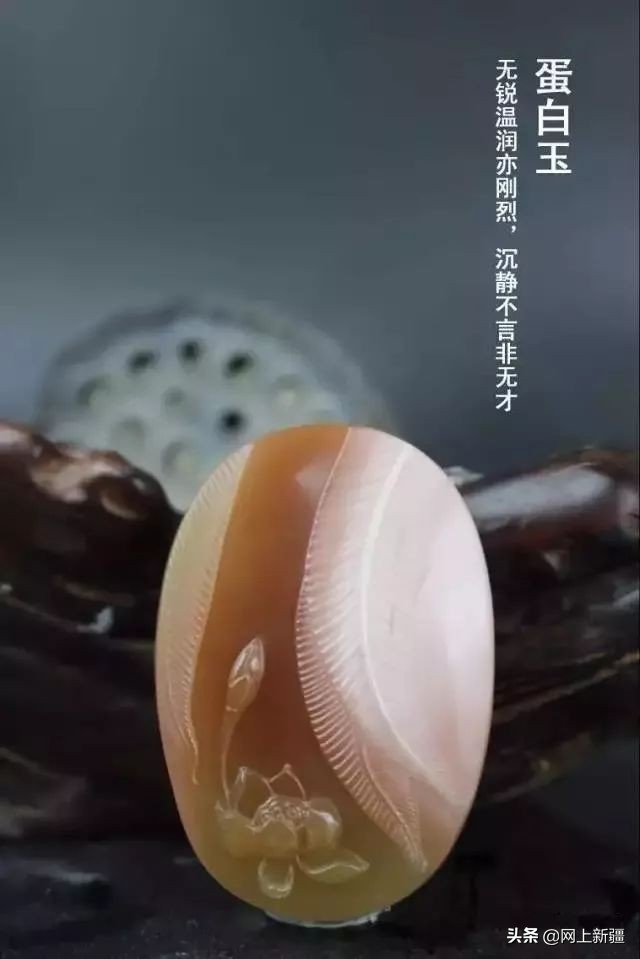 戈壁滩上的宝贝,新疆戈壁沙漠上的宝贝