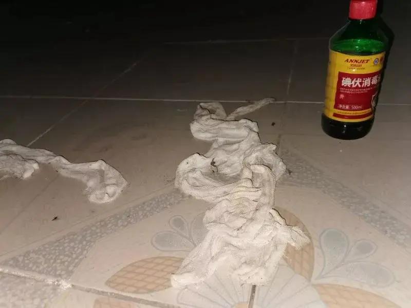 赌命交易是骗人的吗,一定要警惕骗人的套路