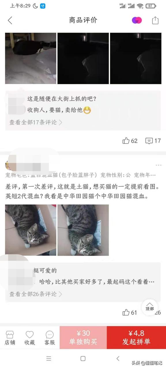 从宠物盲盒到在线“拼猫”,这些宠物商家有多损?