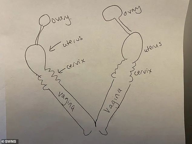 世界之大无奇不有呀完整版,世界之大无奇不有呀