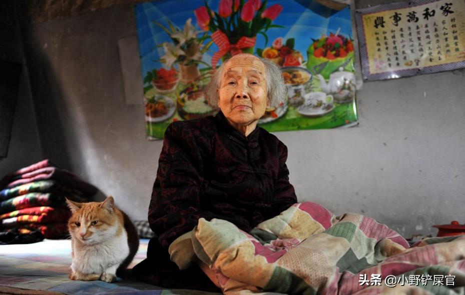 为啥年轻人爱养猫老人喜欢养狗,陪伴老人养狗还是养猫