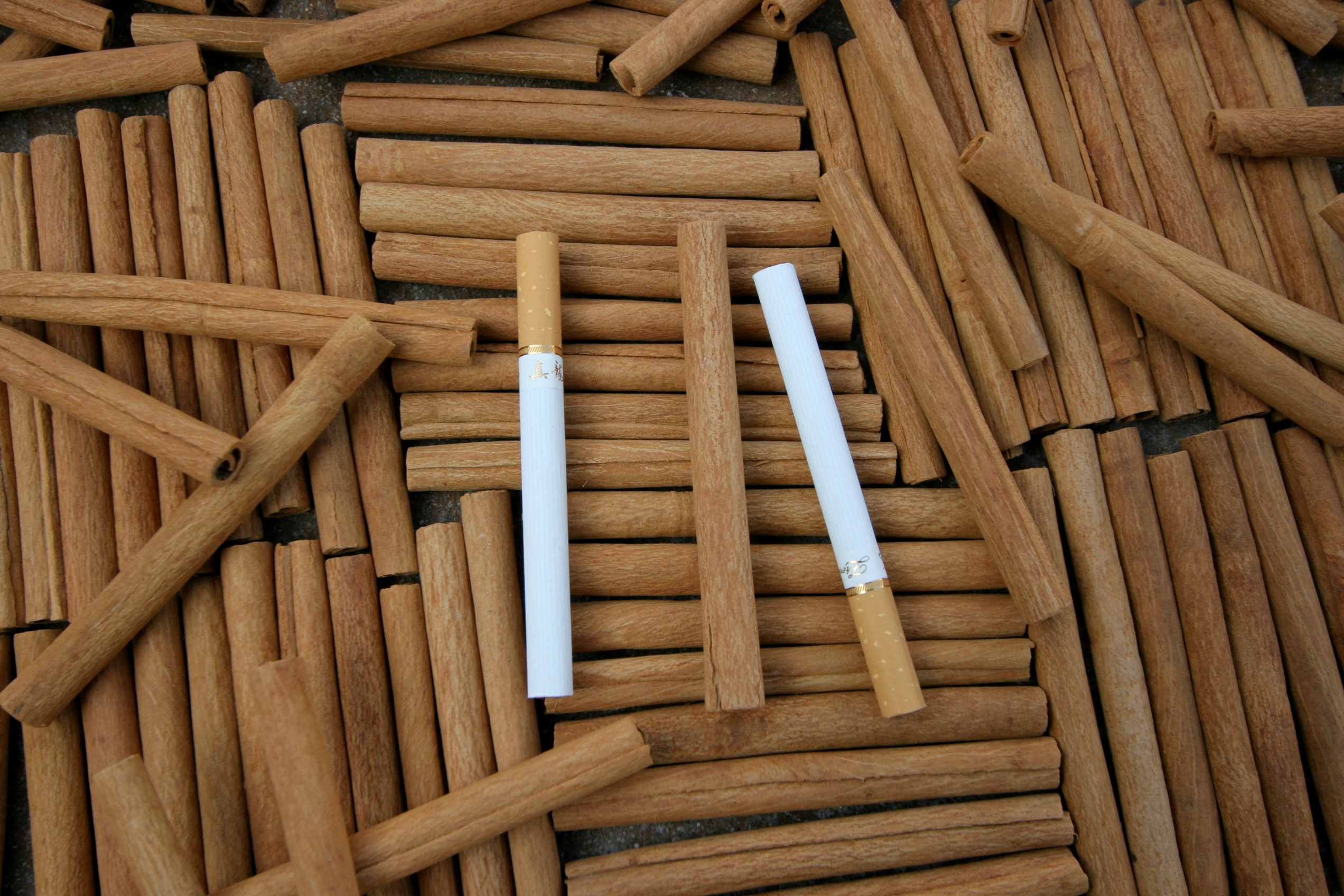 桂皮生意一年能赚多少钱,桂皮利润