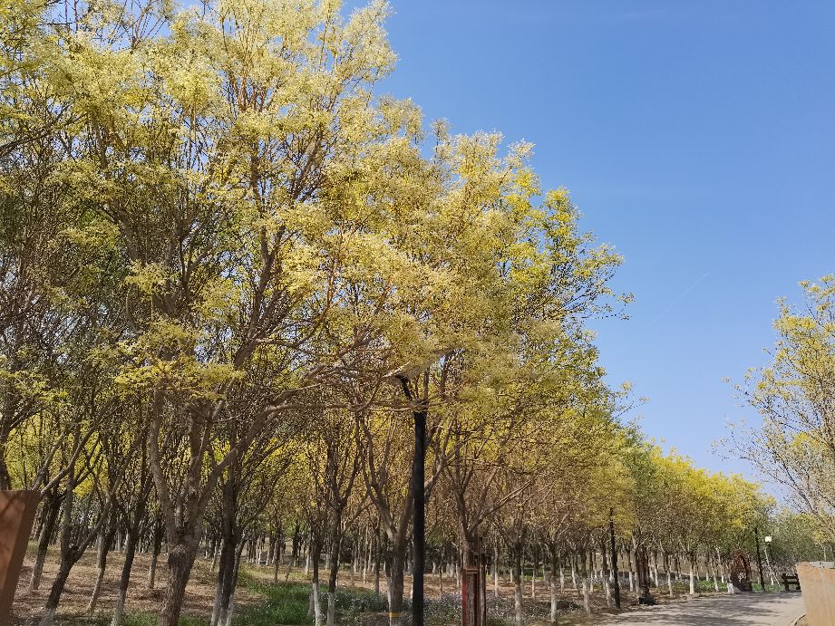 吃饱了来公园走走,吃饱喝足广场散步