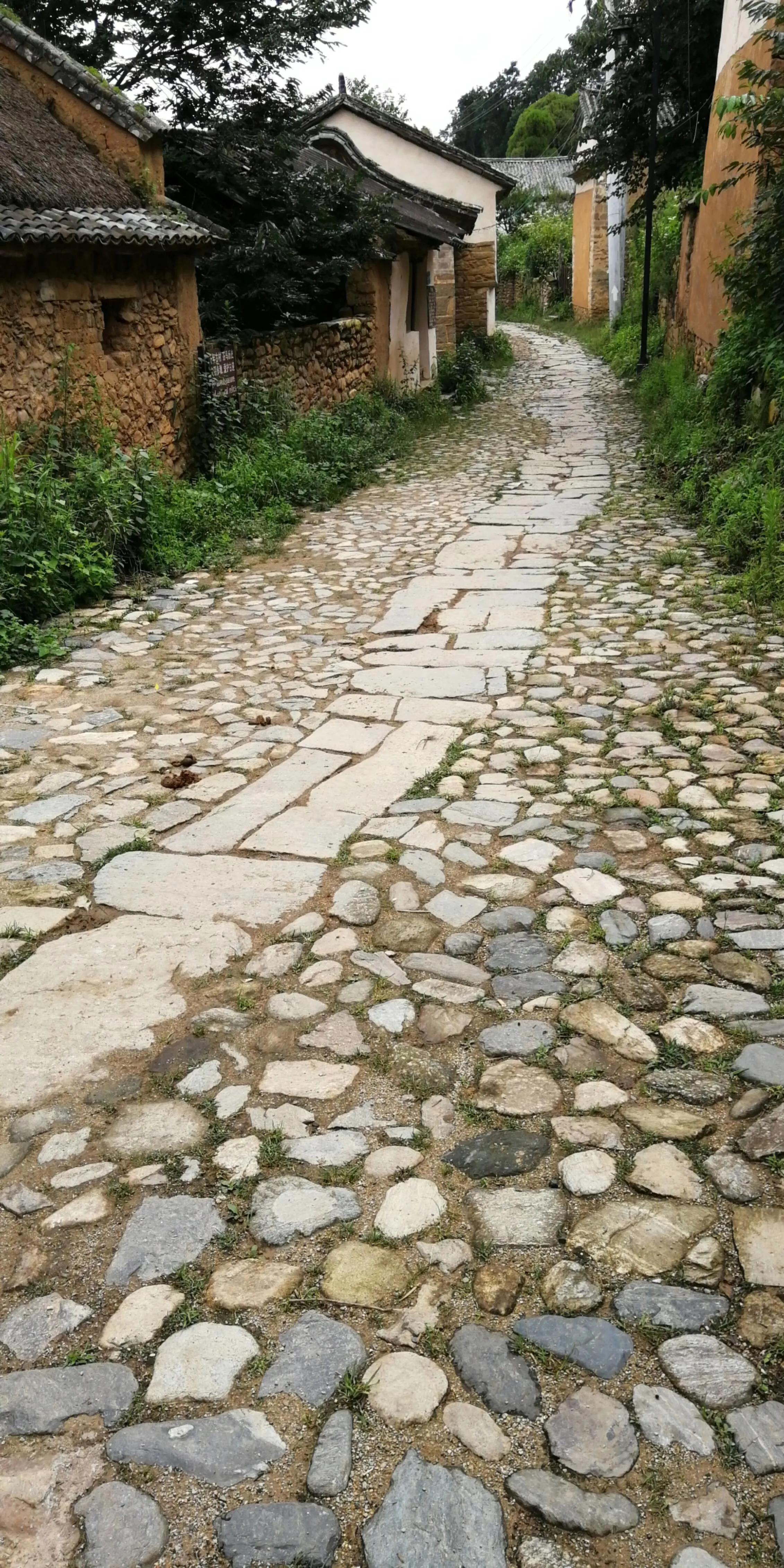 一家三口的田园生活,一家三口在大理的田园边租房15年