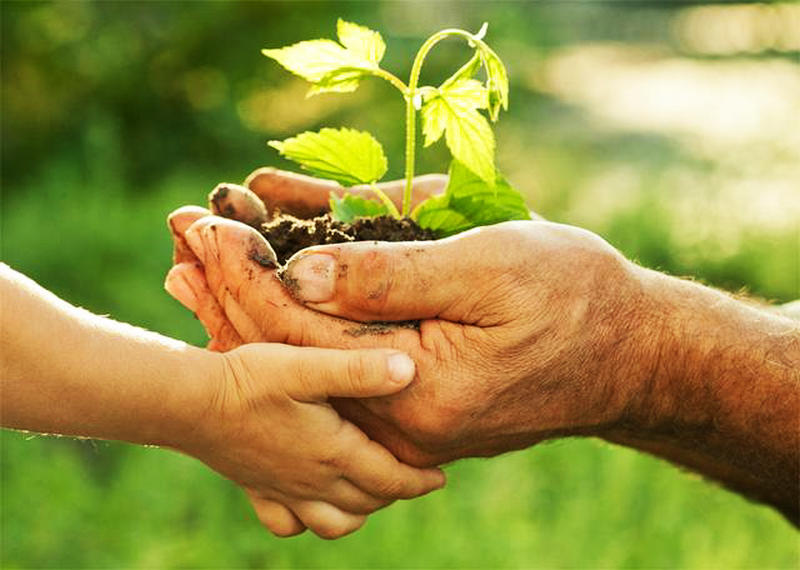 人的善心就是最好的风水,人的善念就是福气