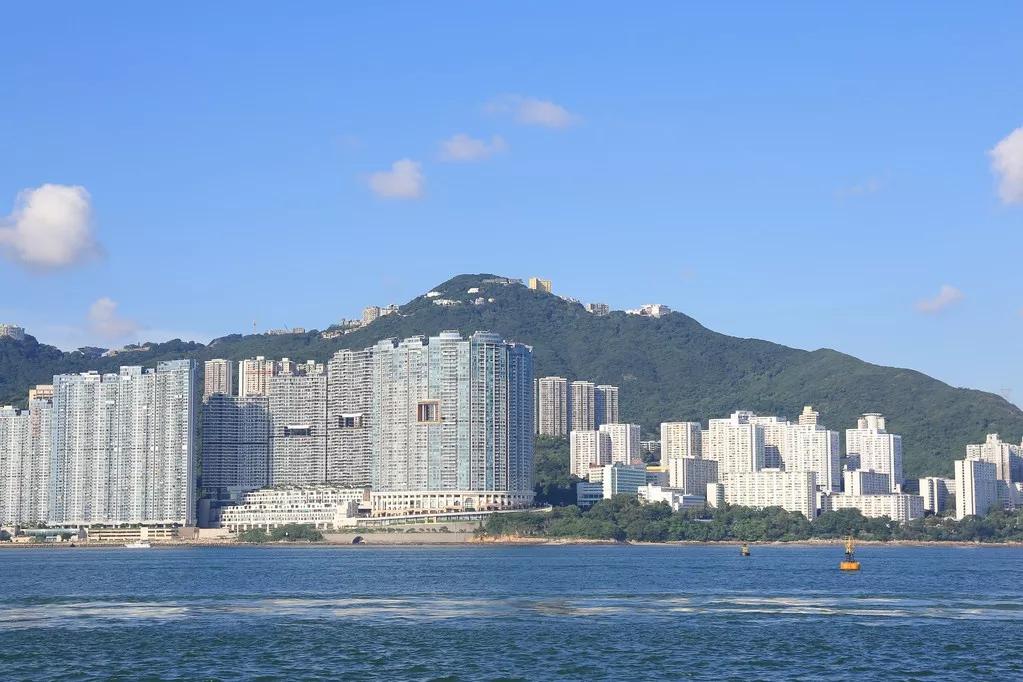 王思聪负债20亿还了吗,王思聪负债20亿的原因