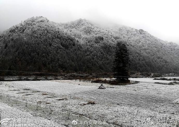 平利一女生遭猥亵,陕西13岁女孩遭姑父骚扰