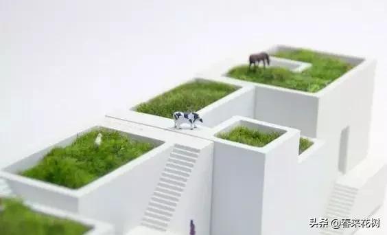 花盆里的杂草到底要不要拔,花盆里的杂草应当拔掉还是剪掉